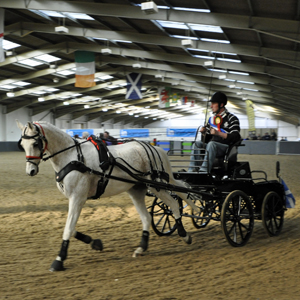 2013 Indoor champs 06